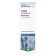 fucus quercia marina estratto fluido 50 ml
