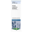 fucus quercia marina estr fl50