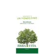 zenzero polvere rizoma 100g