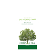 malva composta tisana 100g