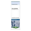 uva ursina ef foglie 50ml