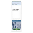 valeriana radice ef 50ml