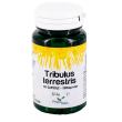 tribulus terrestris 30cps