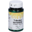tribulus terrestris 60 capsule pz