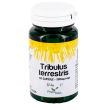 tribulus terrestris 30cps