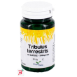 tribulus terrestris 60 capsule