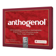 masqueliers anthogenol 30 cps