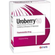 uroberry 40 10 buste - integratore alimentare
