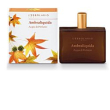 erbolario ambraliquida acqua profumata 50 ml