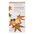 l'erbolario ambraliquida bagnogel con microsfere alla vitamina e 250 m