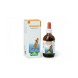 gemmavis ribes nero gemmoderivato 50 ml