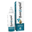banzapid spray preventivo dermocosmetico 100 ml