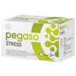 pegaso - stress fermenti lattici +3 anni confezione 28 stick pack