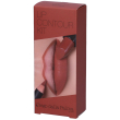 diego dalla palma lip contour kit rossetto tonalità raw sienna + matit