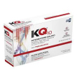 kq10 20bust