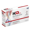 kq10 20bust