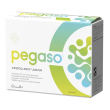 pegaso axiboulardi junior, 14 bustine