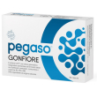 pegaso - gonfiore fermenti lattici confezione 30 capsule