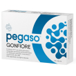 pegaso enterodophilus 30 capsule