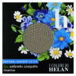 helan bio ombretto compatto ricarica salvia 2 g