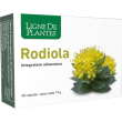 rodiola 45 cps nse