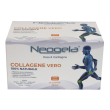 neogela 28buste zeta 92