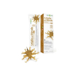 pomata artigl diavolo bio 50ml