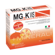 mgk vis orange 15bust