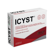 icyst 14bust