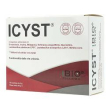 icyst 14bust