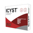 icyst 14bust