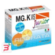 mgk vis junior arancia 10 bustine