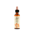 aspen bach original 20ml