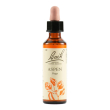 schwabe pharma italia aspen bach orig 20 ml