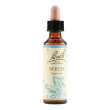 beech bach orig 20ml
