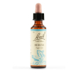 beech bach orig 20ml