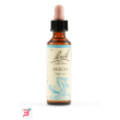 beech bach orig 20 ml