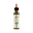 bach 4 centaury 20ml
