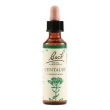 centaury bach orig 20ml