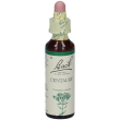 centaury bach orig 20ml 20 ml gocce orali