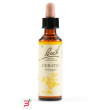 cerato bach orig 20 ml