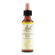 chestnut bud bach orig 20ml