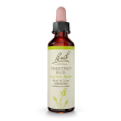 schwabe bach chestnut bud 20 ml
