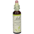 chestnut bud bach orig 20 ml gocce orali