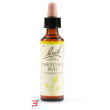 chestnut bud bach orig 20 ml