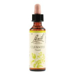 clematis bach orig 20ml