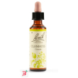 clematis bach orig 20 ml