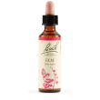 elm bach orig 20ml
