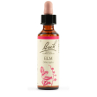 elm fiori di bach original 20ml