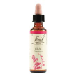 elm bach orig 20ml